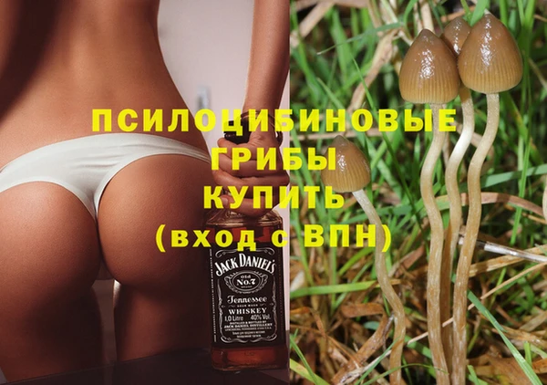 соль курить ск Алексеевка