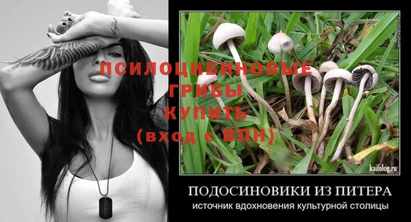 винт Алексин