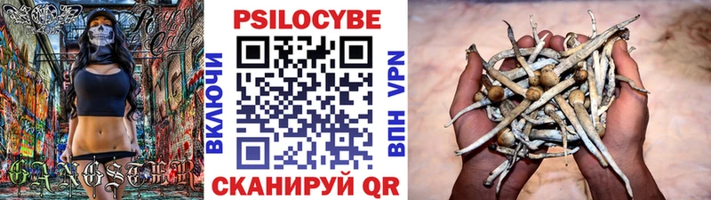 Псилоцибиновые грибы прущие грибы  Исилькуль 