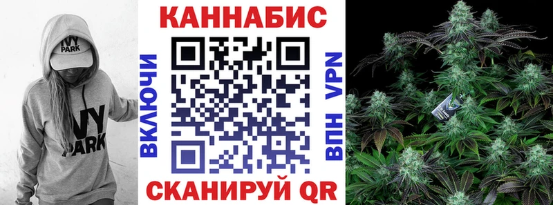 Марихуана AK-47  купить наркоту  Исилькуль 